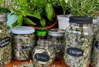 6 Expert Tips for Storing Dried Herbs to Preserve Flavor