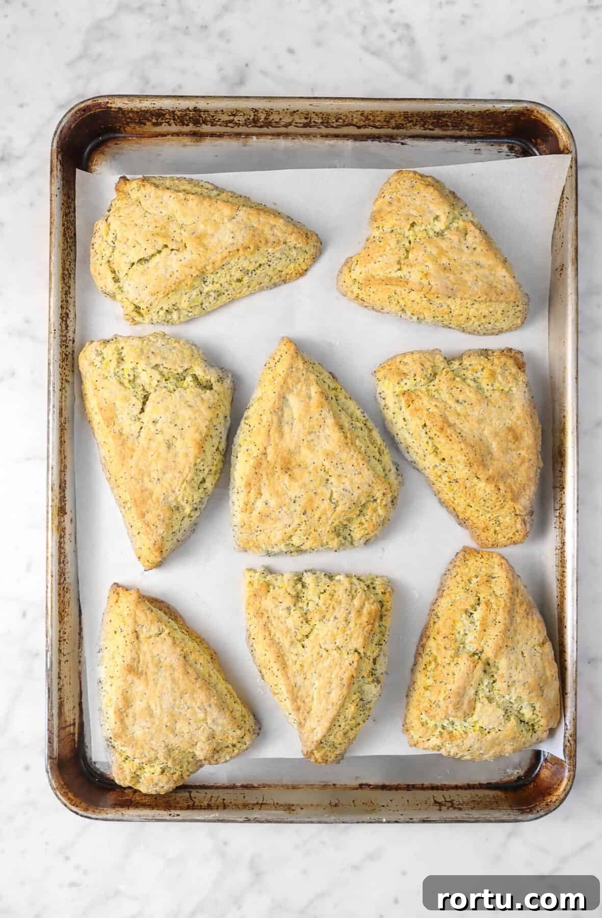 Giant Lemon Poppy Seed Scones — Soft, Zesty Breakfast Treat 6 lemon poppyseed scones on a sheet pan