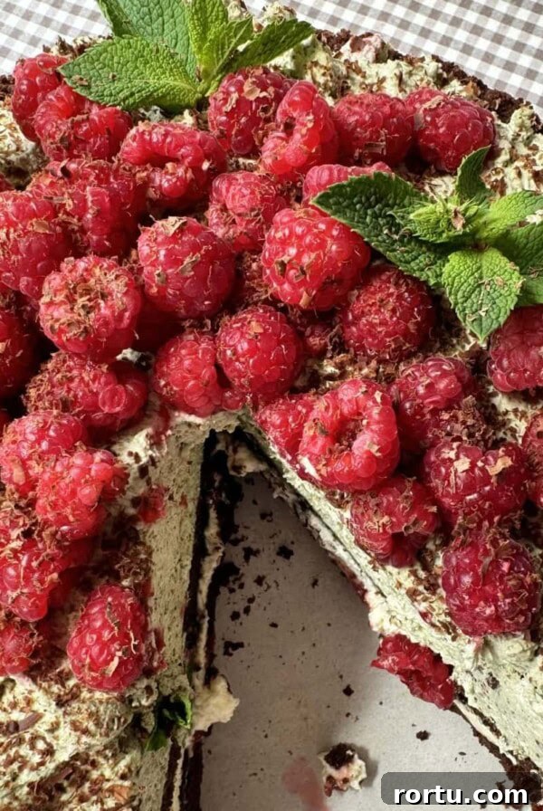 Ballymaloe Tunisian Orange Cake Recipe — Gluten-Free Version 13 raspberry chocolate cake with slice removed.