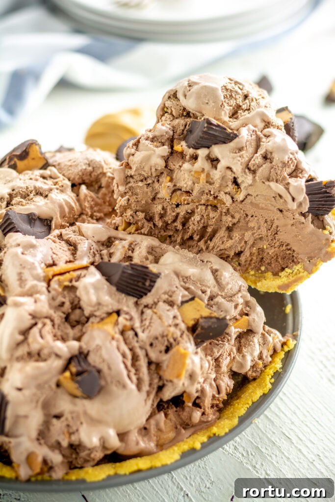 a chocolate peanut butter ice cream pie.