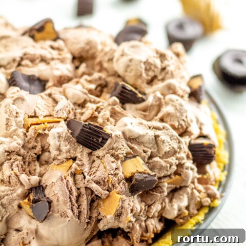 a chocolate peanut butter ice cream pie.