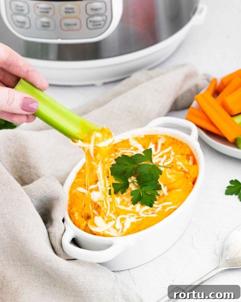 Instant Pot Buffalo Chicken Dip Recipe — Creamy, Spicy Party Dip 2 Instant Pot Buffalo Chicken Dip with a celery stick
