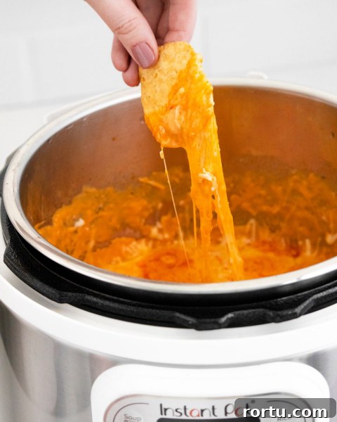 Instant Pot Buffalo Chicken Dip Recipe — Creamy, Spicy Party Dip 4 Instant Pot Buffalo Chicken Dip with chip