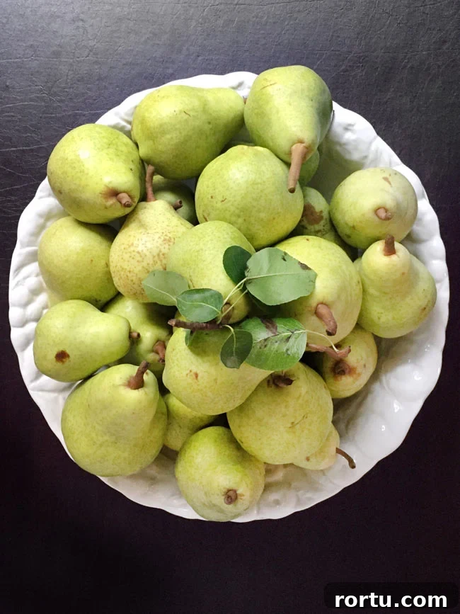 Olive Oil Pear Cake with Ginger and Cinnamon 3 Fresh pears in white bowl.