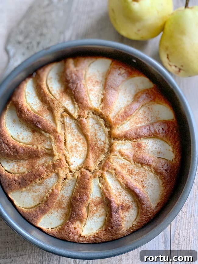 Olive Oil Pear Cake with Ginger and Cinnamon 5 Pear cake in pan with two whole sliced pears.