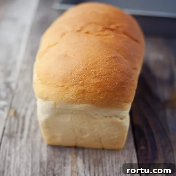 Homemade Hawaiian Bread Recipe