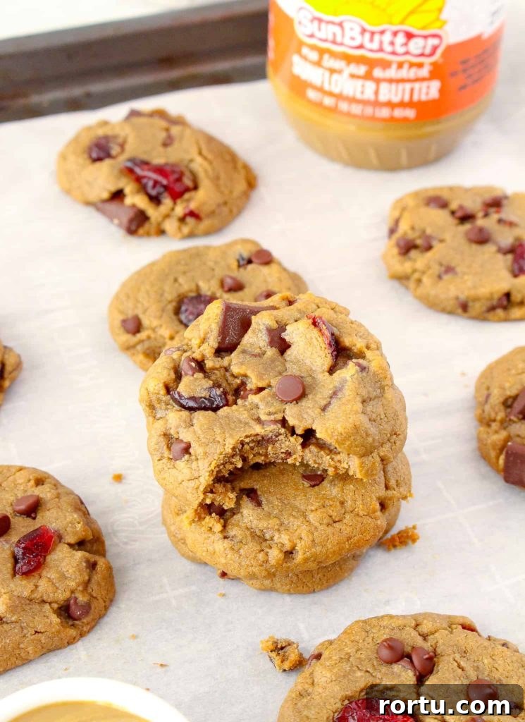 Nut Free Cookies