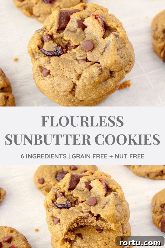 Chocolate Chip SunButter Cookies