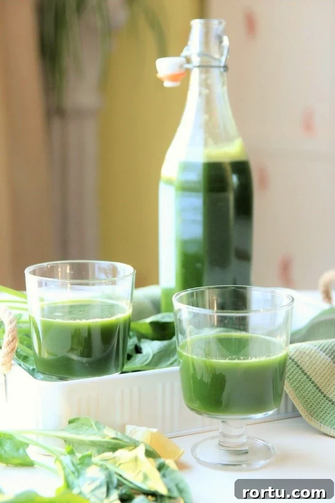 Super Green Juice Recipe Without a Juicer — Fresh Homemade Blend 2 super green juice recipe for a New Year's detox