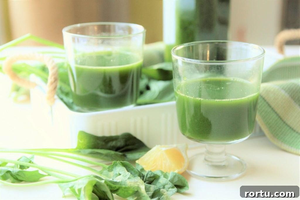 Super Green Juice Recipe Without a Juicer — Fresh Homemade Blend 9 super green juice recipe - 2 glasses of the power tonic