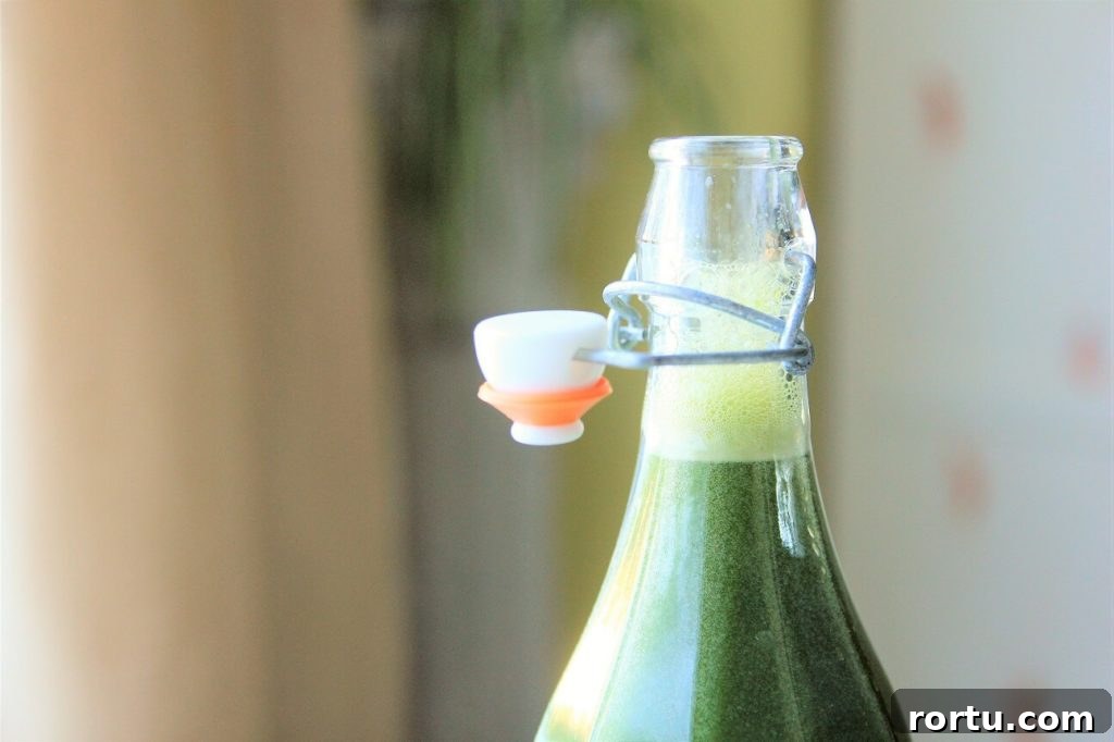Super Green Juice Recipe Without a Juicer — Fresh Homemade Blend 11 super green juice recipe; bottle of bubbles