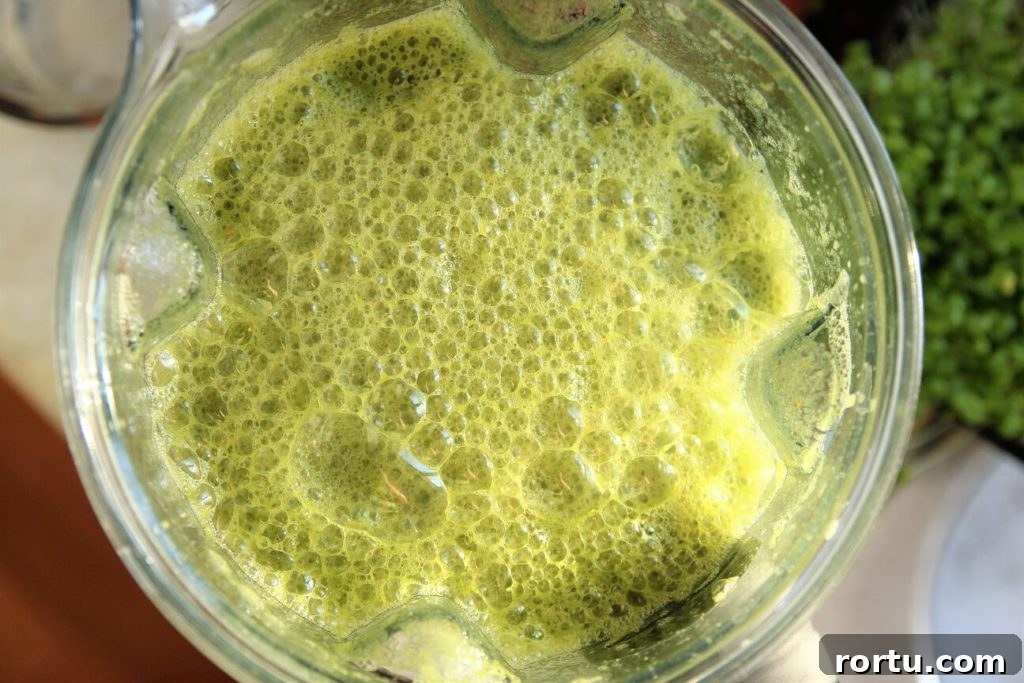 Super Green Juice Recipe Without a Juicer — Fresh Homemade Blend 5 green juice recipe; frothy green juice
