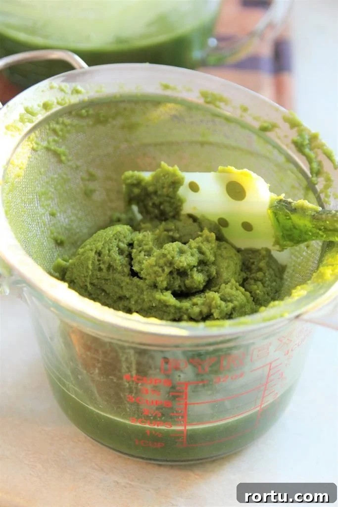 Super Green Juice Recipe Without a Juicer — Fresh Homemade Blend 7 green juice recipe; scraping up the green juice pulp