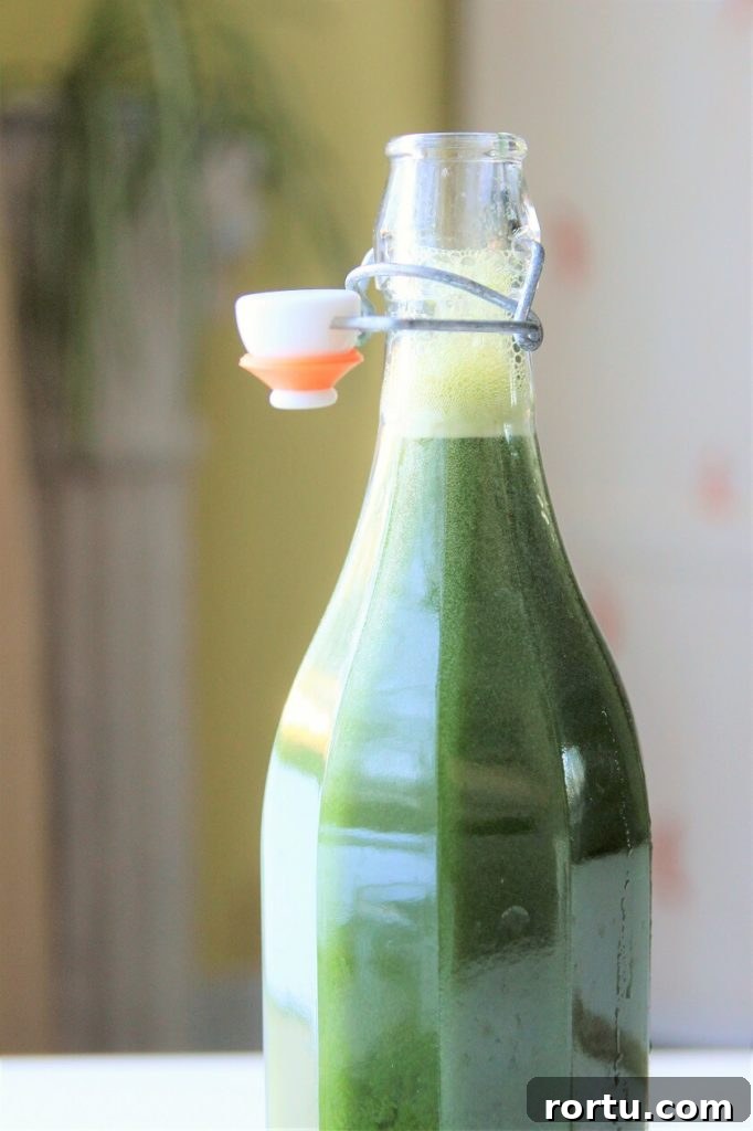 Super Green Juice Recipe Without a Juicer — Fresh Homemade Blend 8 green juice recipe; bottle of super green juice