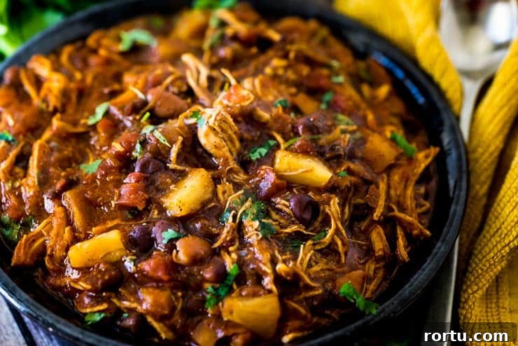 BBQ Chicken Chili closeup