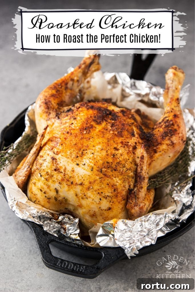 How to Roast Chicken Perfectly Every Time 5 roasted chicken