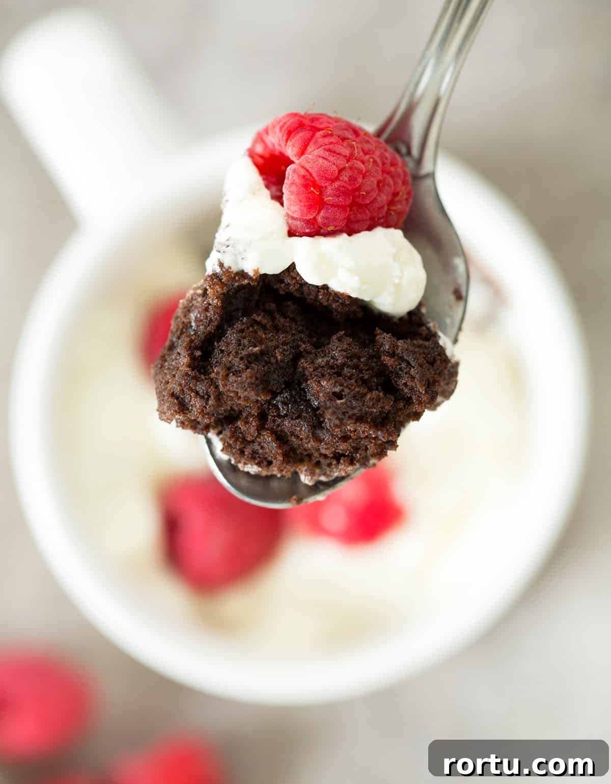 Metal spoonful of chocolate cake with whipped cream and raspberry