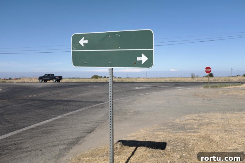 blank street sign with arrows pointing in both directions. 