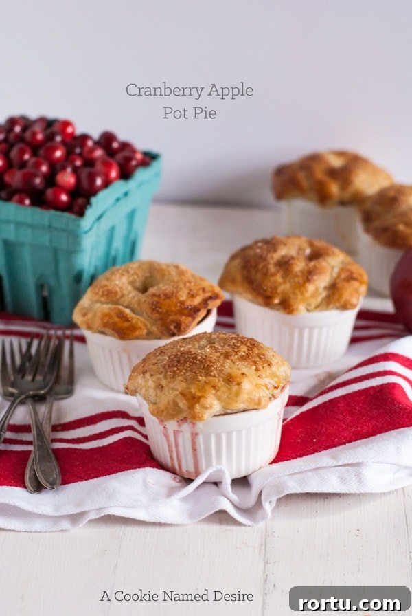 cranberry apple pot pie - a delicious and insanely easy dessert perfect for your Thanksgiving table