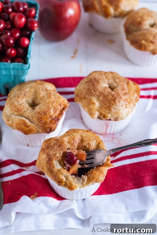cranberry apple pot pie - a delicious and insanely easy dessert perfect for your Thanksgiving table