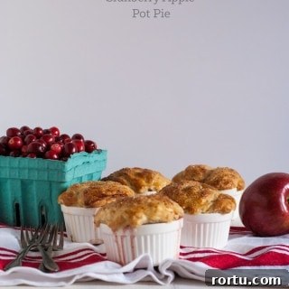 cranberry apple pot pie - a delicious and insanely easy dessert perfect for your Thanksgiving table