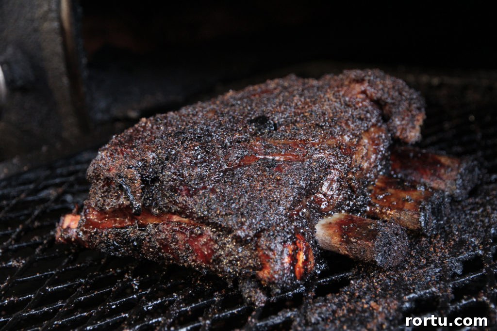 stiles-pitmaster-165