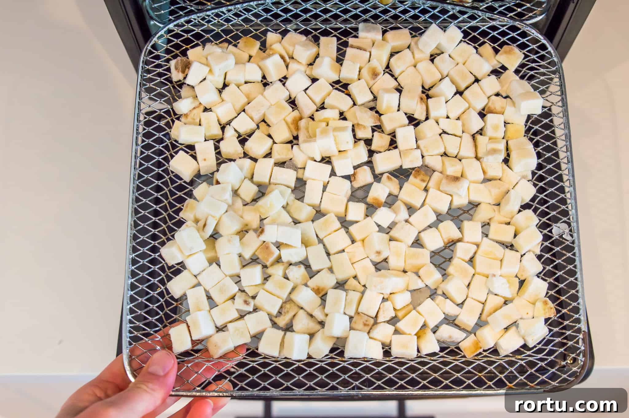 Frozen hash browns on the tray of an air fryer.