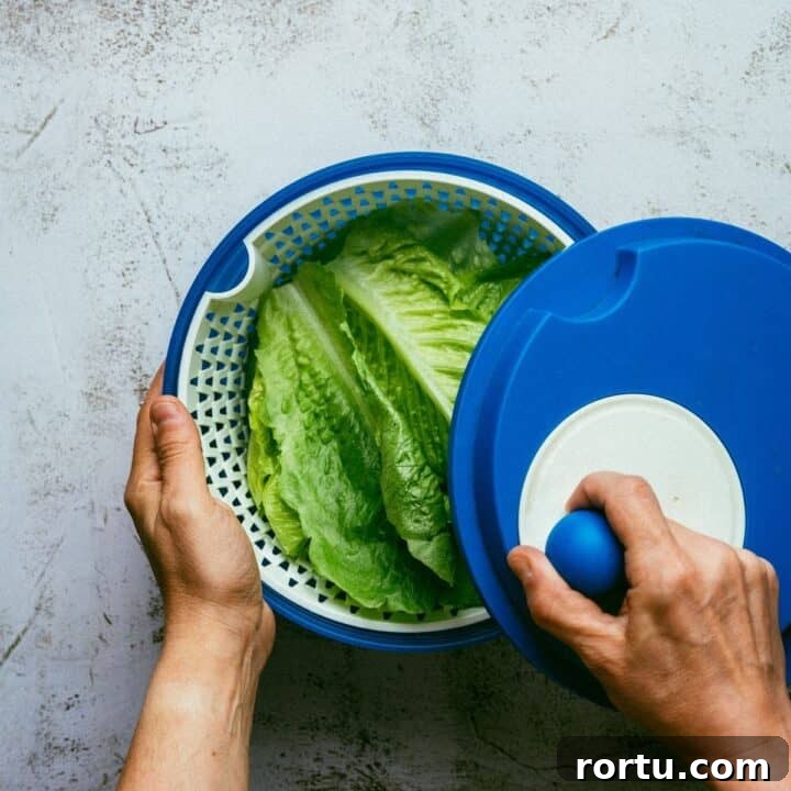 Romaine lettuce leaves in a salad spinner.