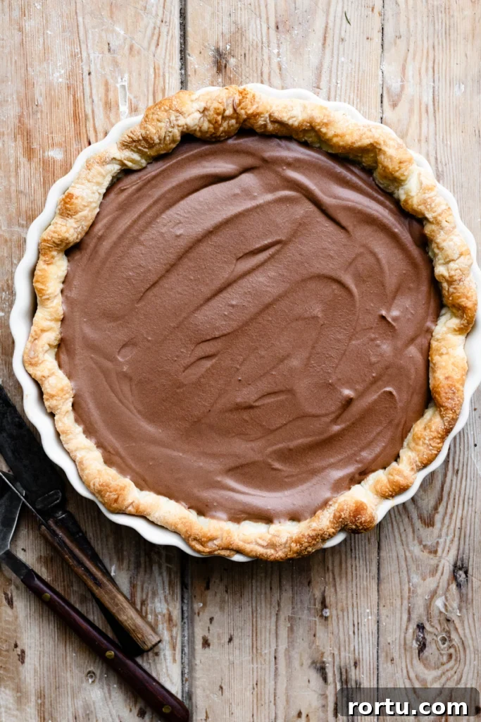 Overhead view of a chocolate mousse pie in a pie dish on a wood table.