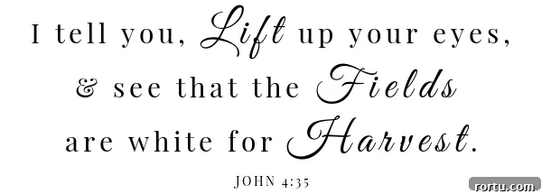 Garlic-Honey Glazed Carrots Recipe for Sweet Savory Side Dish 7 Honey Glazed Carrots Scripture- John 4:35