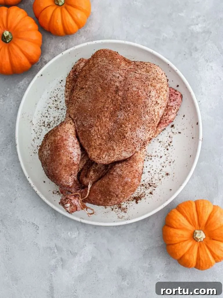 fall spice roasted chicken raw chicken in plate and seasoned