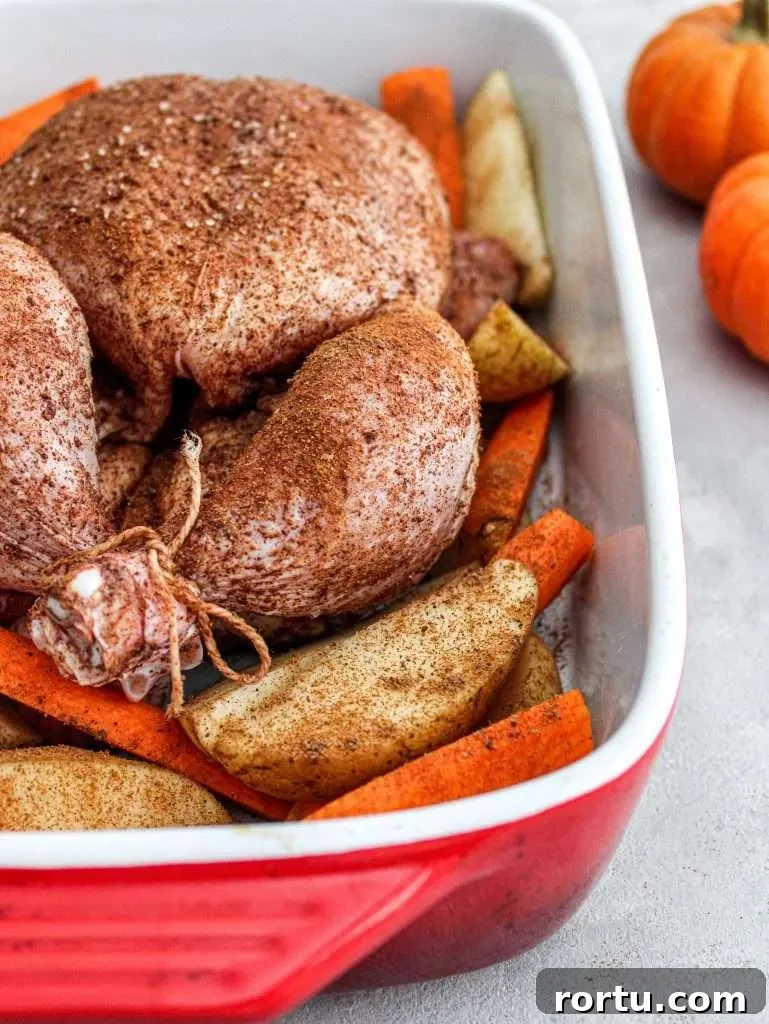fall spice roasted chicken raw chicken in baking dish over bed of veggies close up
