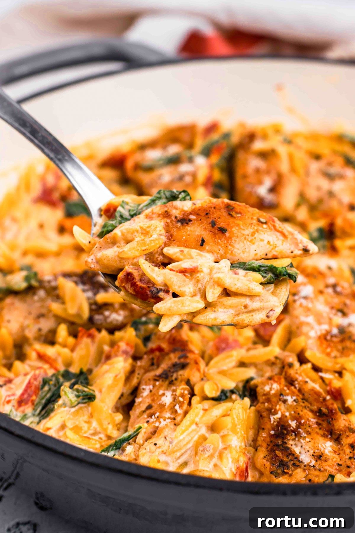 27 Cozy High-Protein Fall Dinners for Busy Weeknights 20 1. Sun-Dried Tomato Chicken Orzo