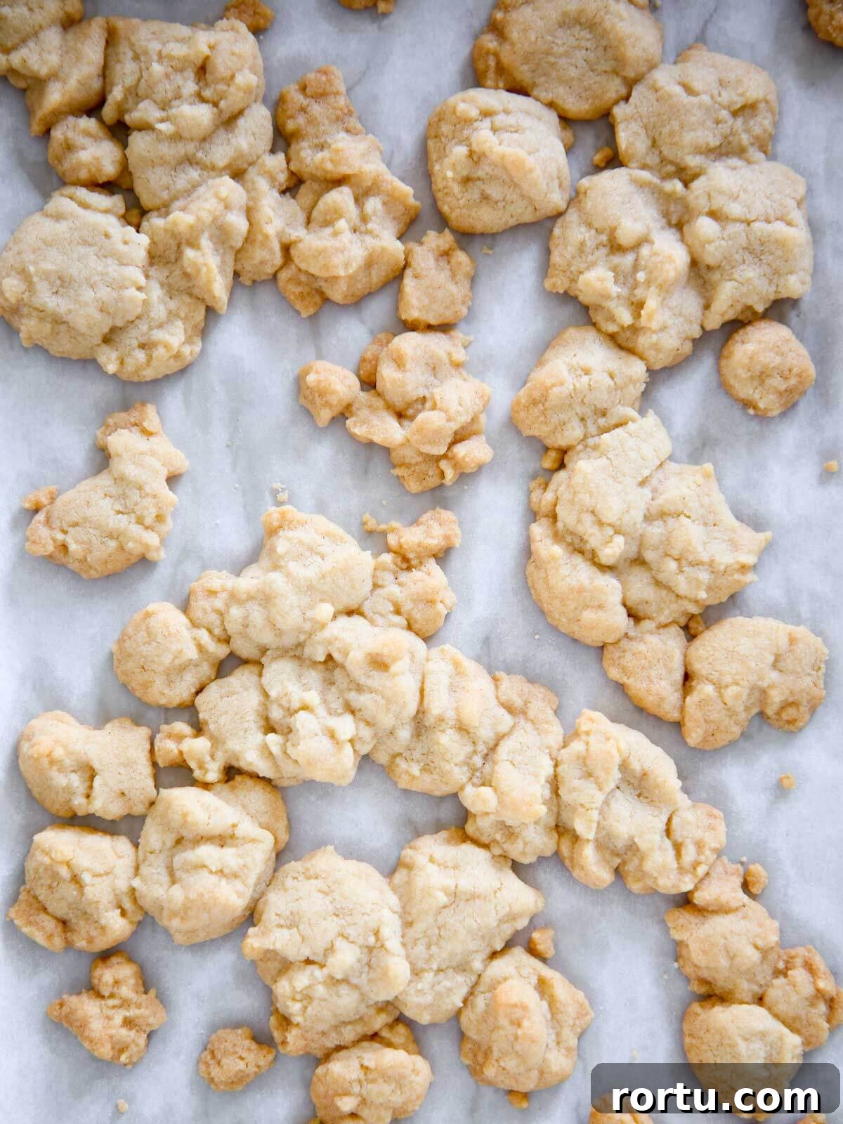 Perfect Streusel Topping Recipe for Crispy, Buttery Crumbles 2 streusel topping baked on sheet pan.