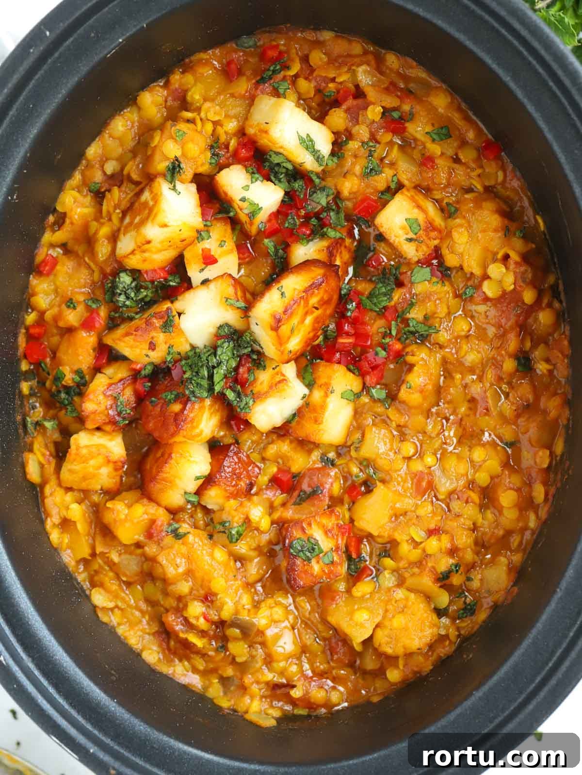A finished Slow Cooker Dahl recipe topped with paneer and coriander.