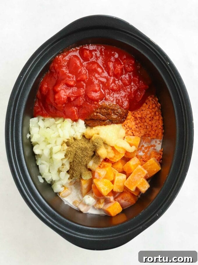 Raw ingredients for a Slow Cooker Dahl ready in the pan.