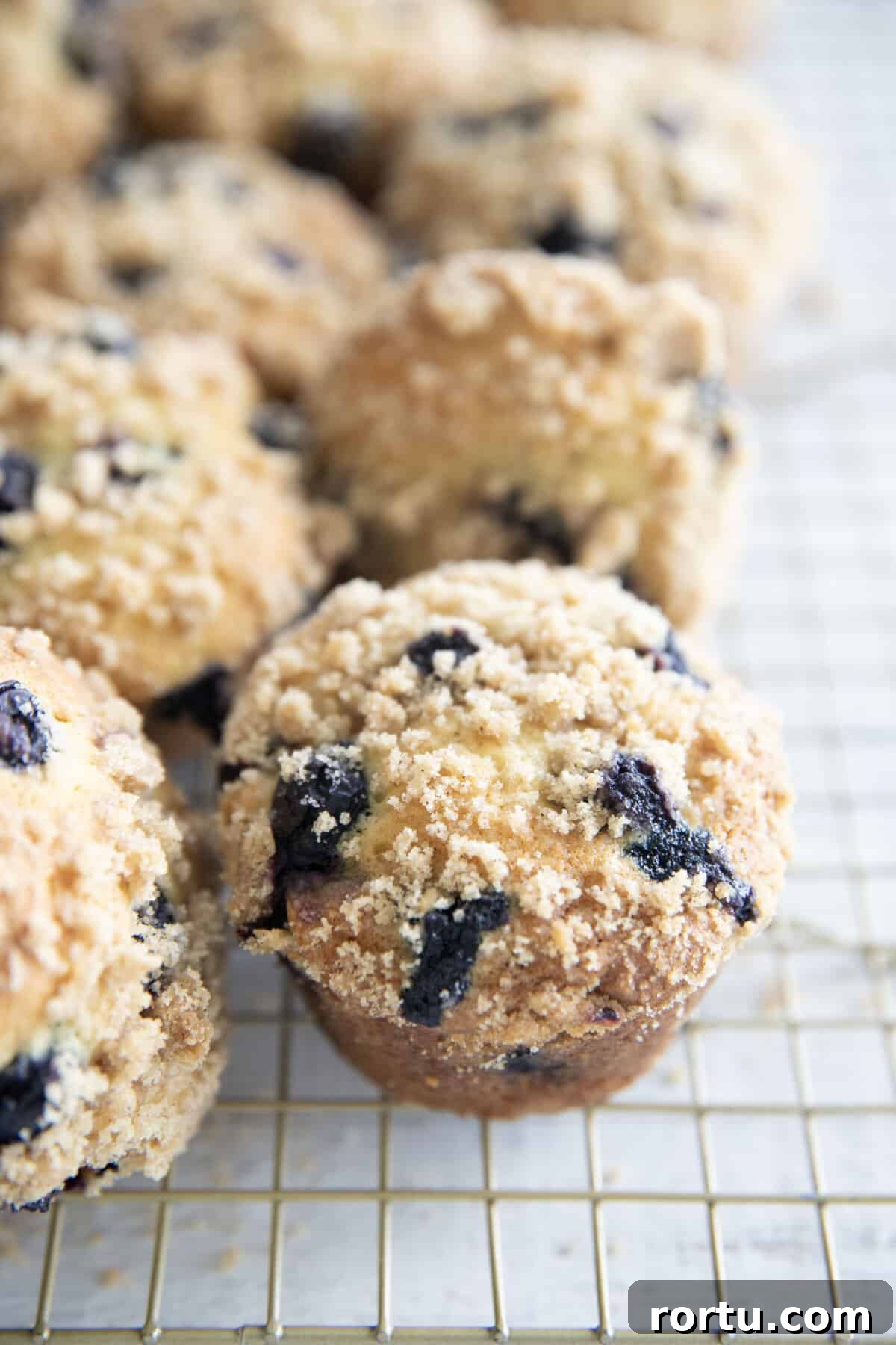 blueberry muffins on a wire rack
