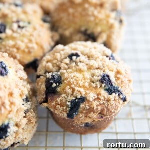 blueberry muffins