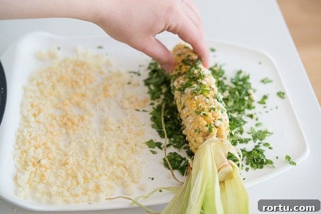 Rolling Corn Cob Into Chopped Cilantro
