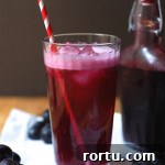 homemade concord grape soda