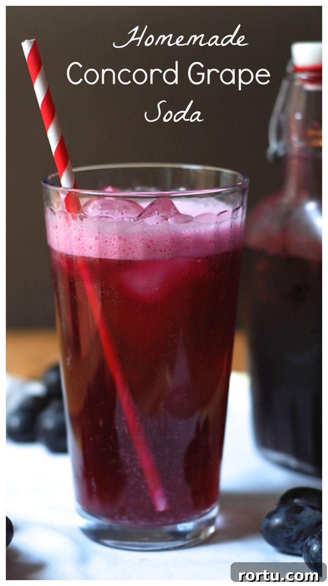 Fresh grape soda. The perfect fall beverage! Find the recipe at turniptheoven.com