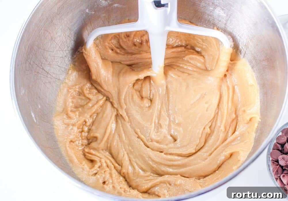 Chocolate Chip Cookies Without Butter — Made with Oil 8 flour mixture added to cookie batter
