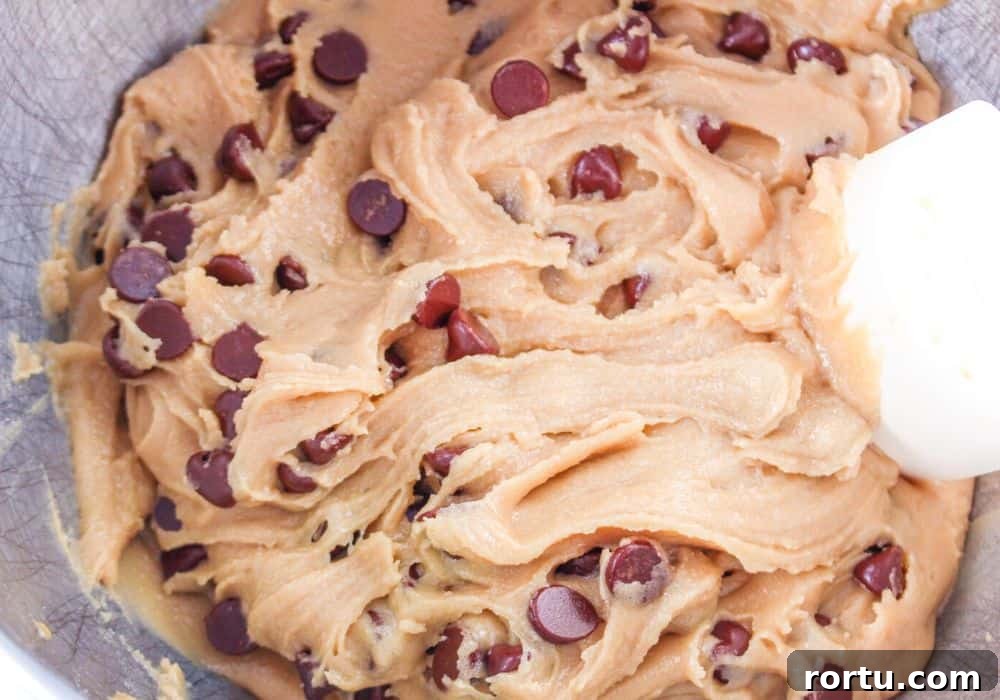 Chocolate Chip Cookies Without Butter — Made with Oil 9 chocolate chip cookie dough made without butter, in a mixing bowl