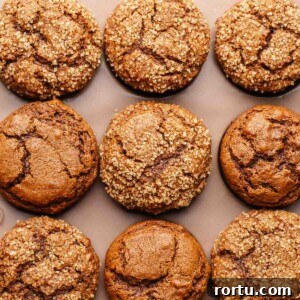 Baked gingerbread muffins in a muffin tin.