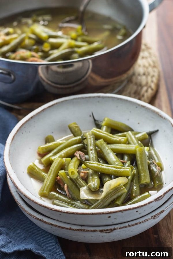 Southern green beans with pork and broth in a bowl.