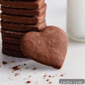 Chocolate Cut-Out Cookies: Perfect Decorated Cocoa Sugar Cookies 12 heart shaped chocolate cut out cookie leaning up against stack of cookies