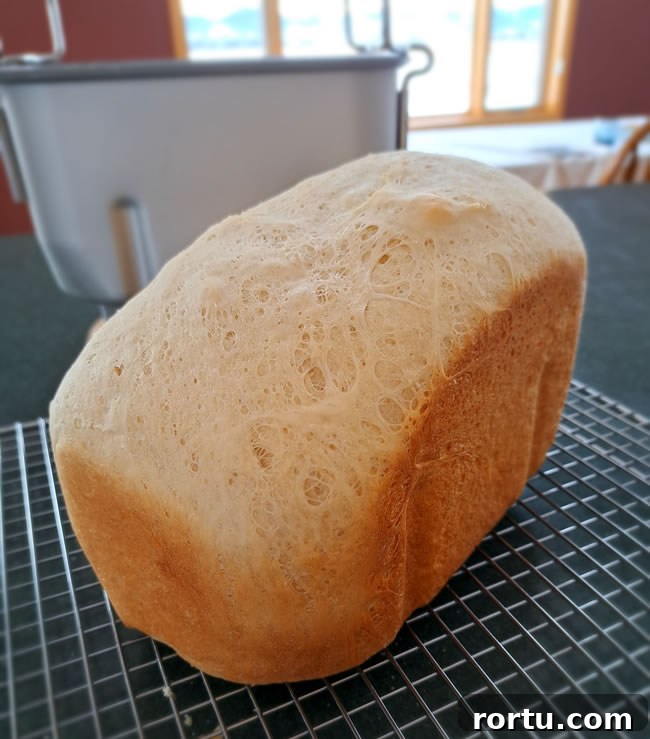 Sandwich bread