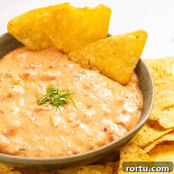 Spicy Jalapeño Corn Salad Bowl 10 An image of queso in a bowl with nacho chips on the side.