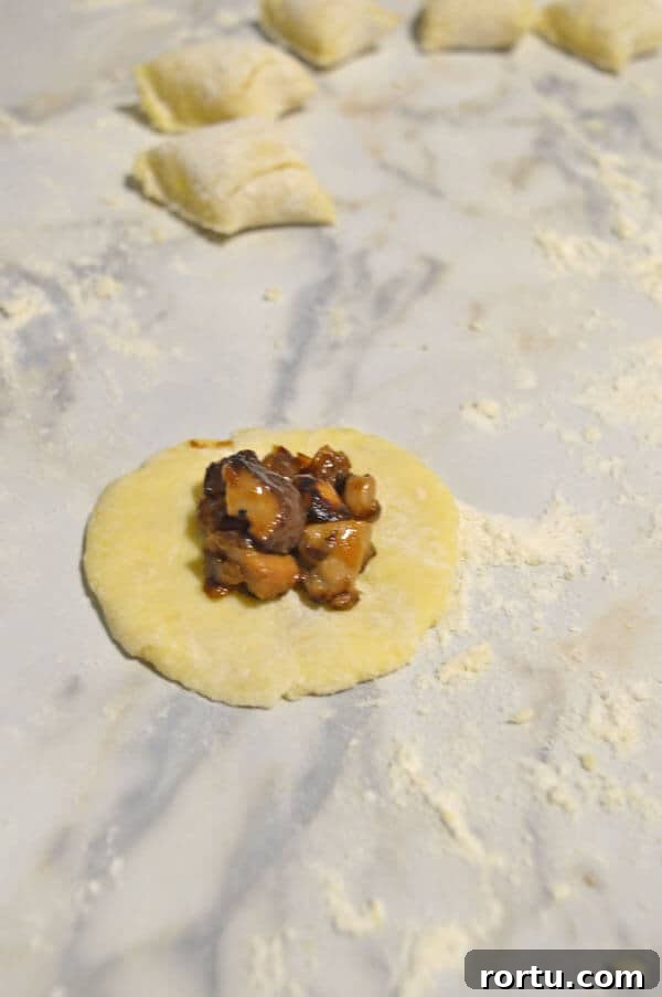 A flattened round of dough with brown filling