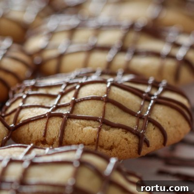 These Stuffed Peanut Butter Cup Cookies are an easy and delicious cookie recipe. #fall #fallbaking #fallcookieweek #peanutbutter #chocolate #peanutbuttercup #recipe